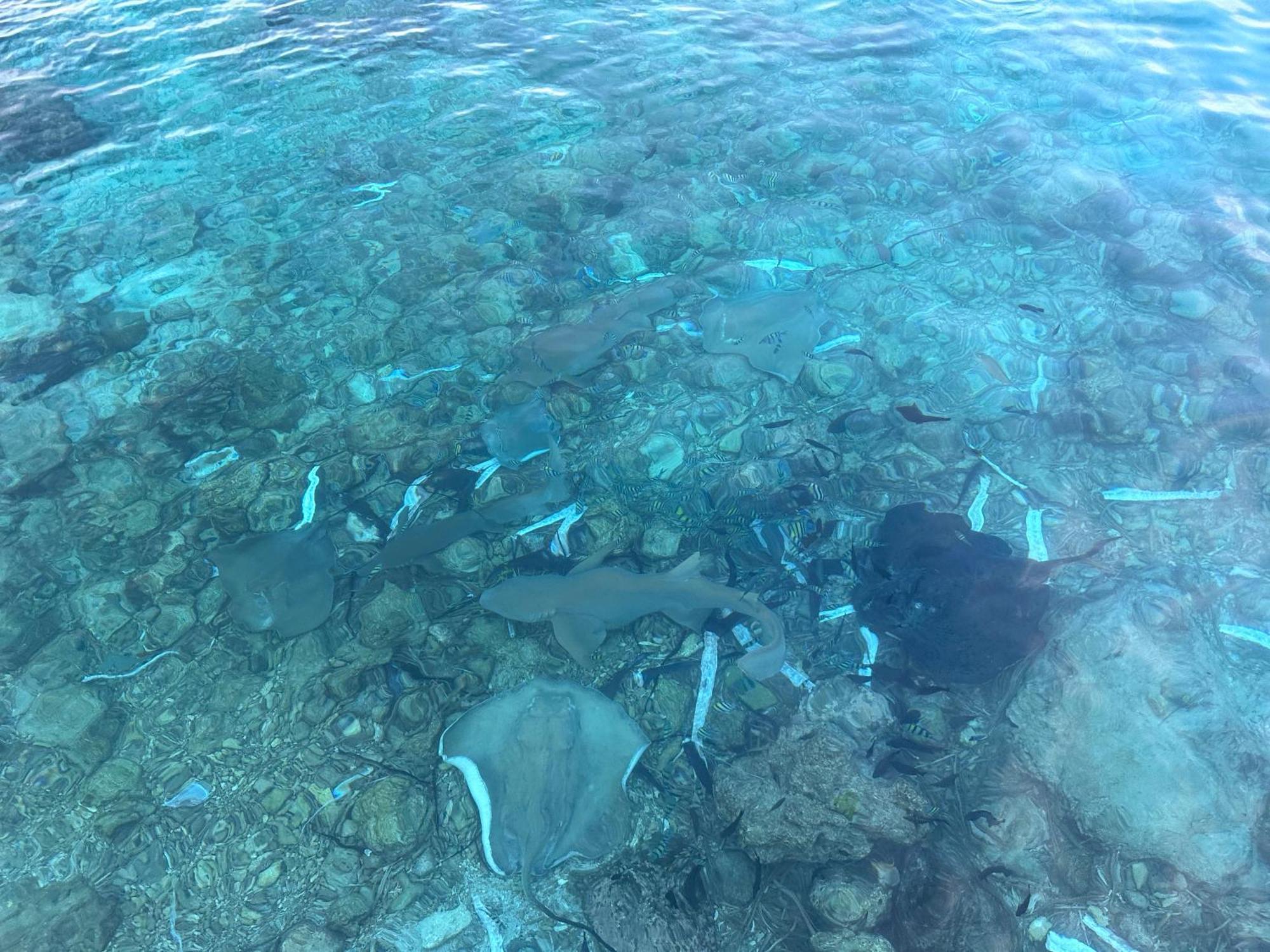 Beach Veli Ukulhas Esterno foto